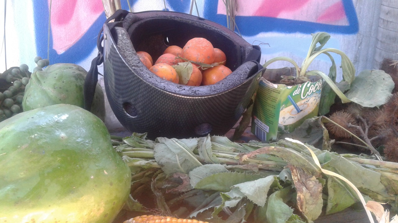 WhatsApp-Image-2018-08-17-at-13.22.41