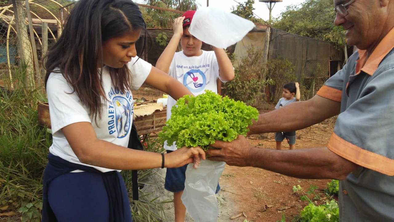 Coleita-Alface-Horta-antiga--7-