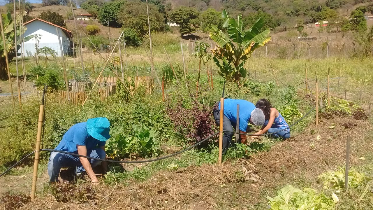 Mutirão de Sábado