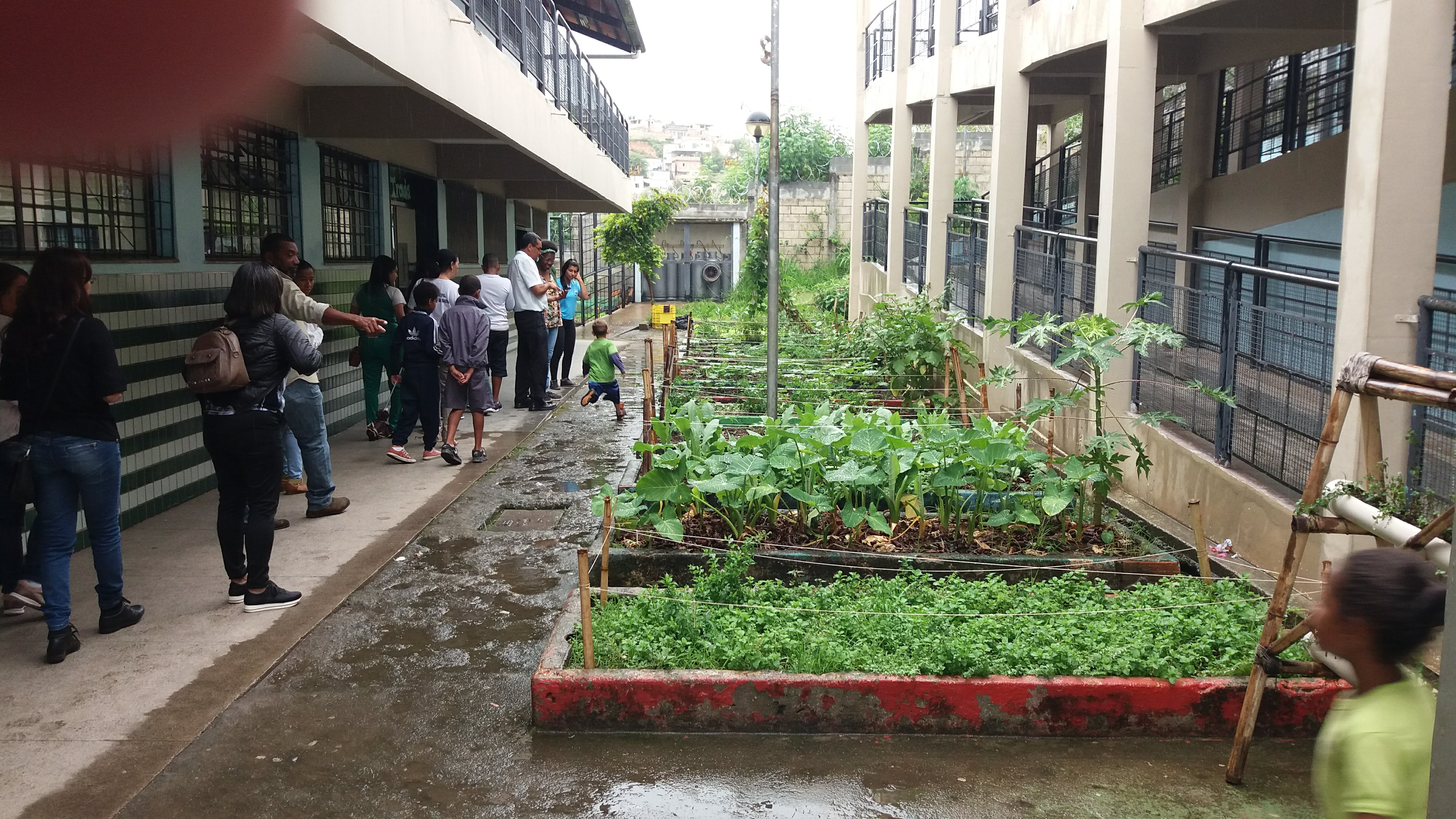 I Intercâmbio de experiência Agroecológica á Escola Municipal Professor Paulo Freire