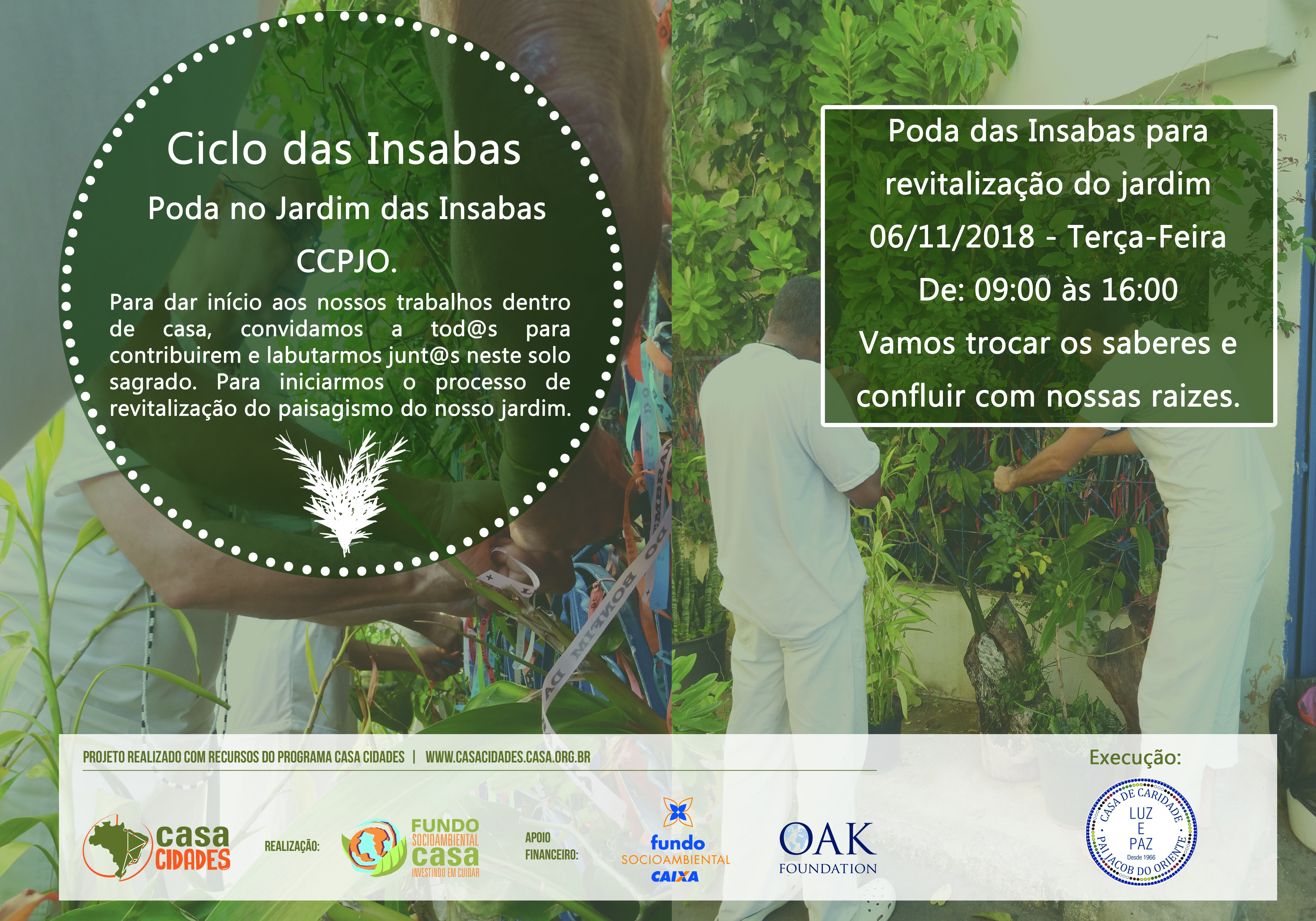 Poda no Jardim das Insabas