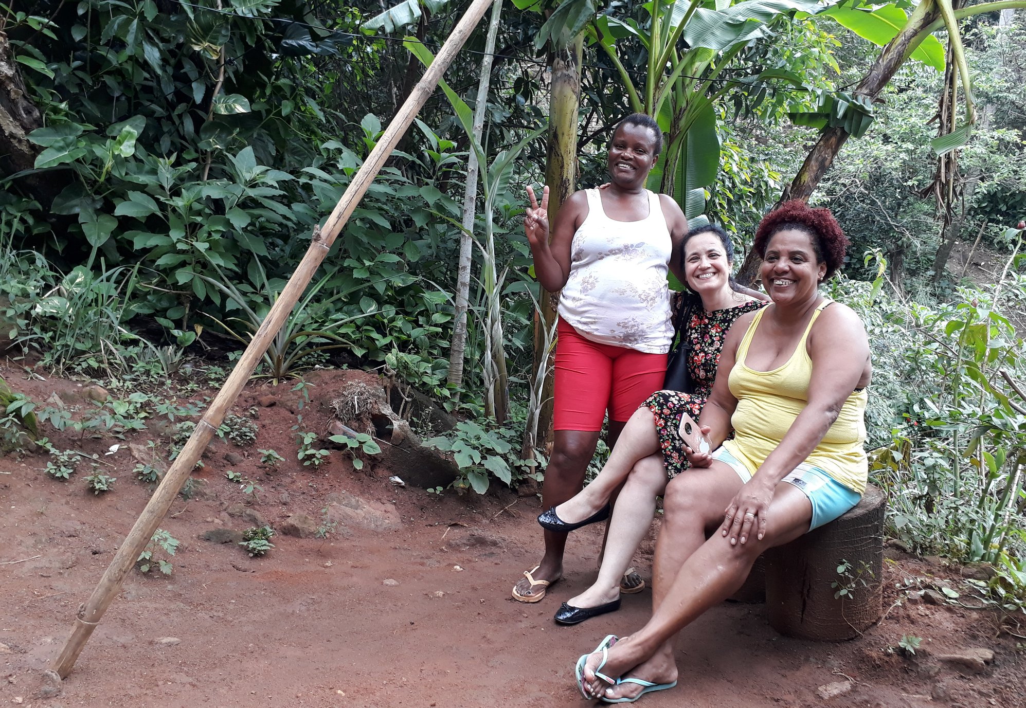 Análise de território - Morro do Salgueiro (Out.-Nov/2018)