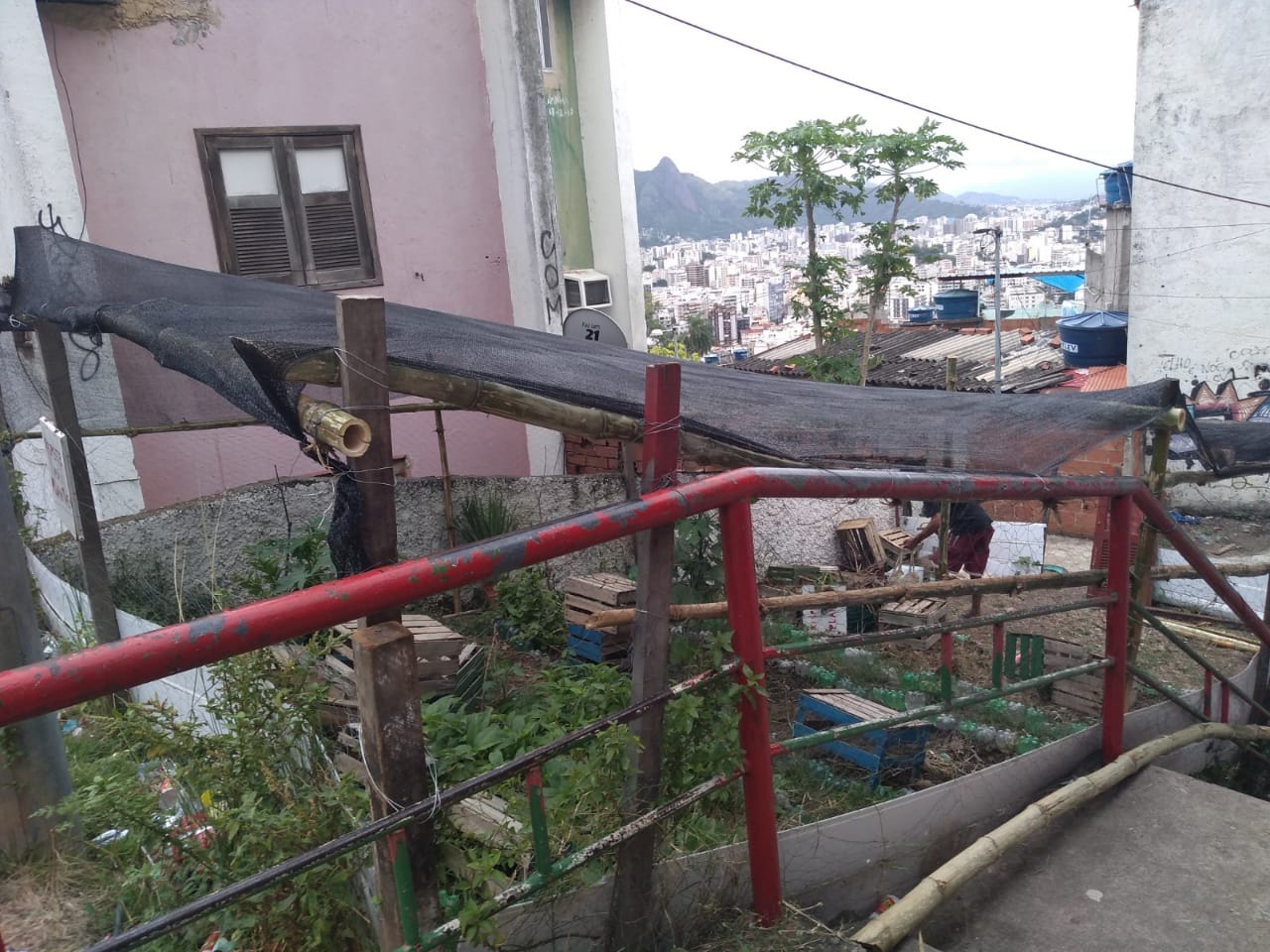 IMG-20190206-WA0044