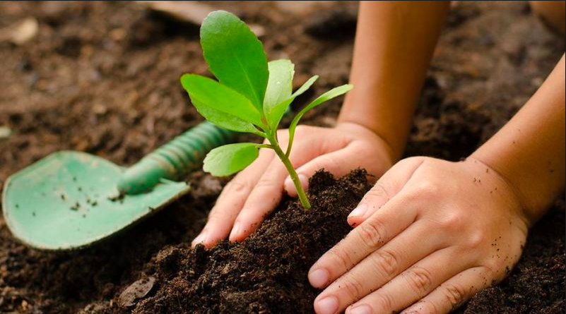 Projetos de todo o Brasil com o tema "Agricultura Orgânica & Agroecologia" trocam melhores práticas e falam sobre os desafios dos seus projetos.